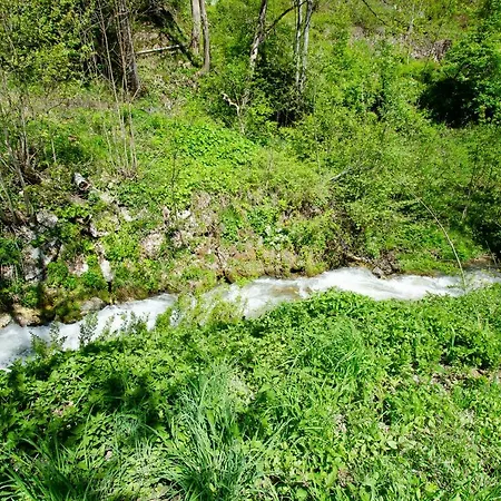 Piberger - Zell Am Kaprun Summer Card Included Διαμέρισμα