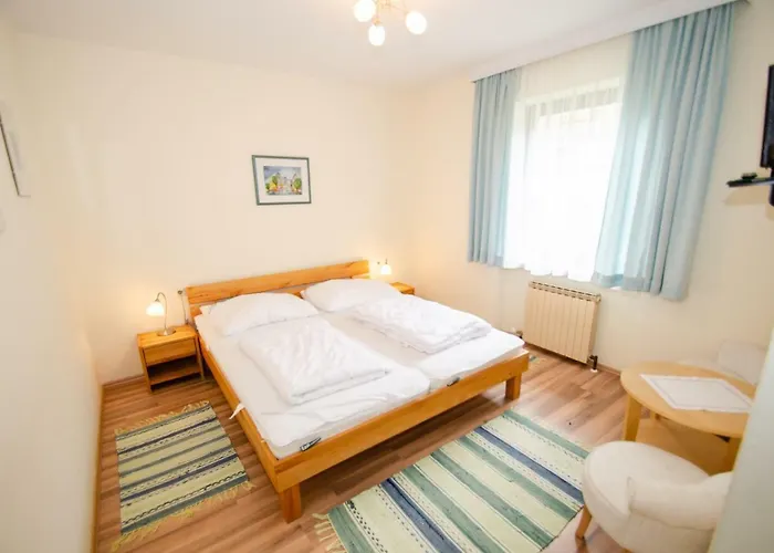 Piberger - Zell Am Kaprun Summer Card Included Apartament