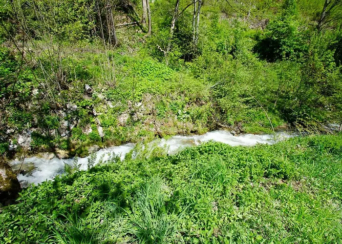 Piberger - Zell Am Kaprun Summer Card Included Apartament